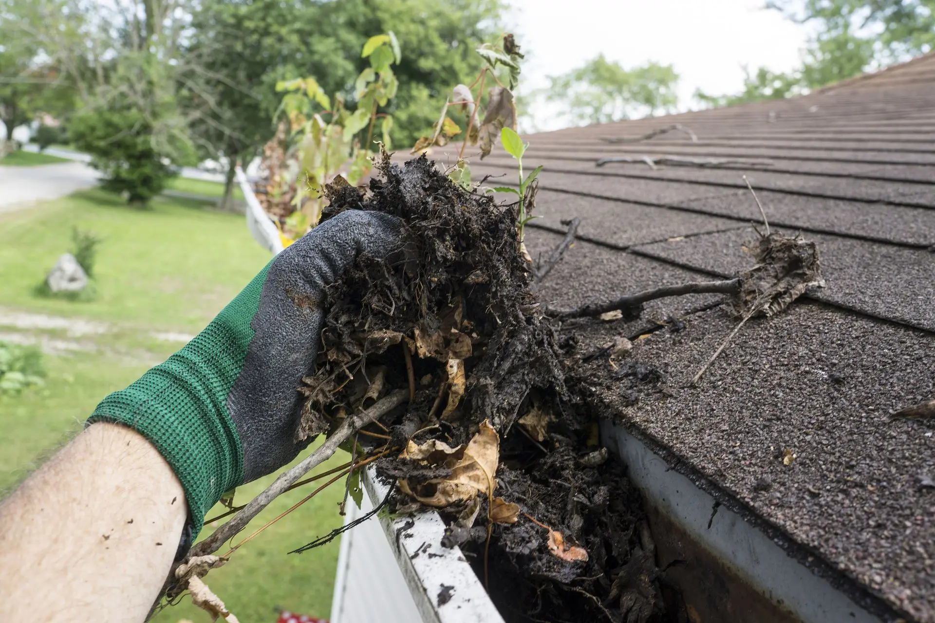 Seasons Property Maintenance in Santa Rosa, CA