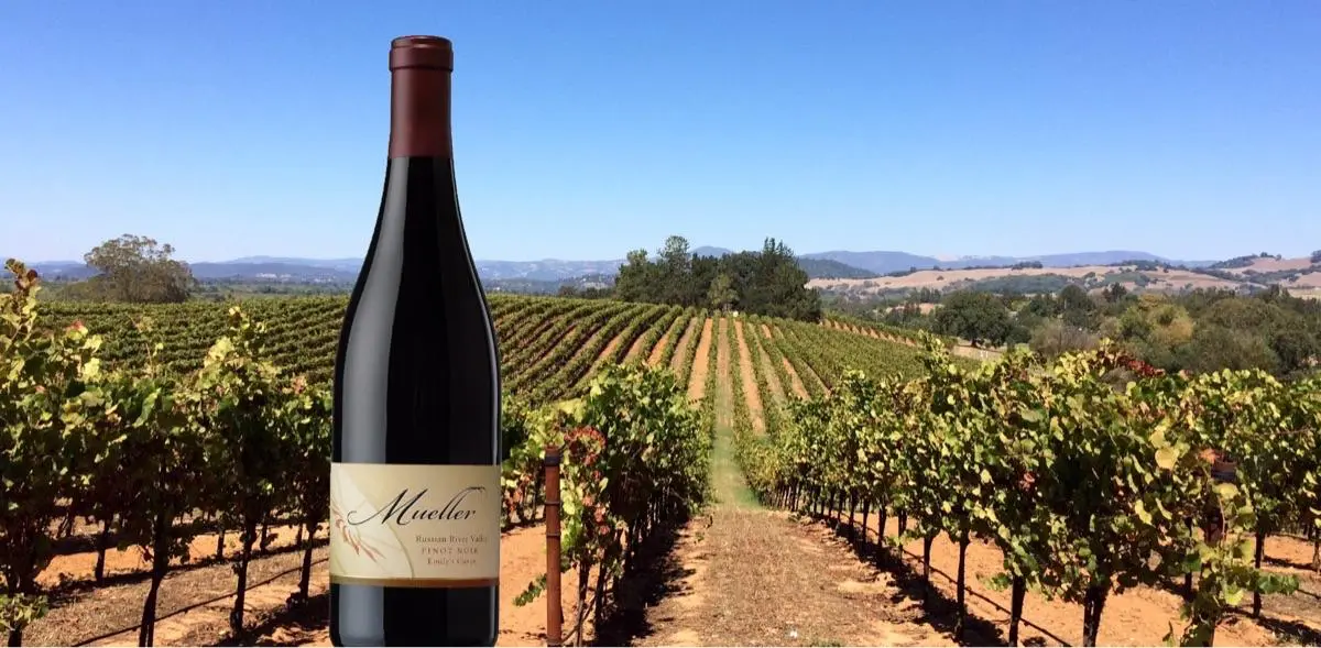 Mueller Winery in Healdsburg, CA
