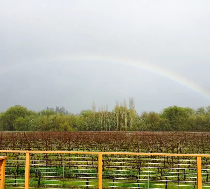 Char Vale Vineyards and Winery in Sebastopol, CA — photo 2