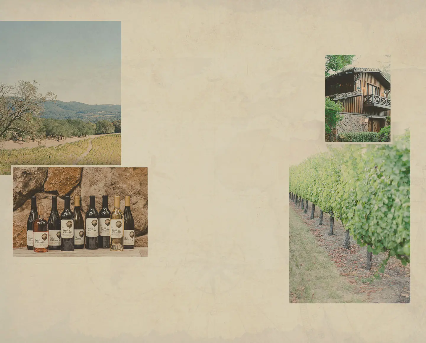 Tyge William Cellars in Sonoma, CA — photo 3