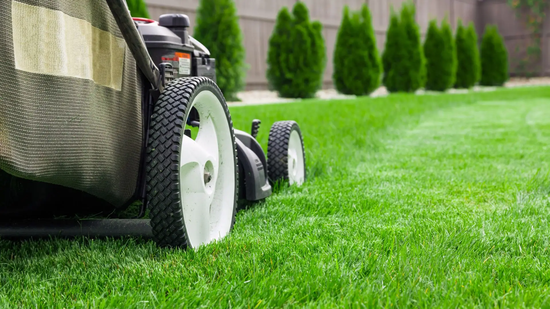 Seasons Property Maintenance in Santa Rosa, CA — photo 4