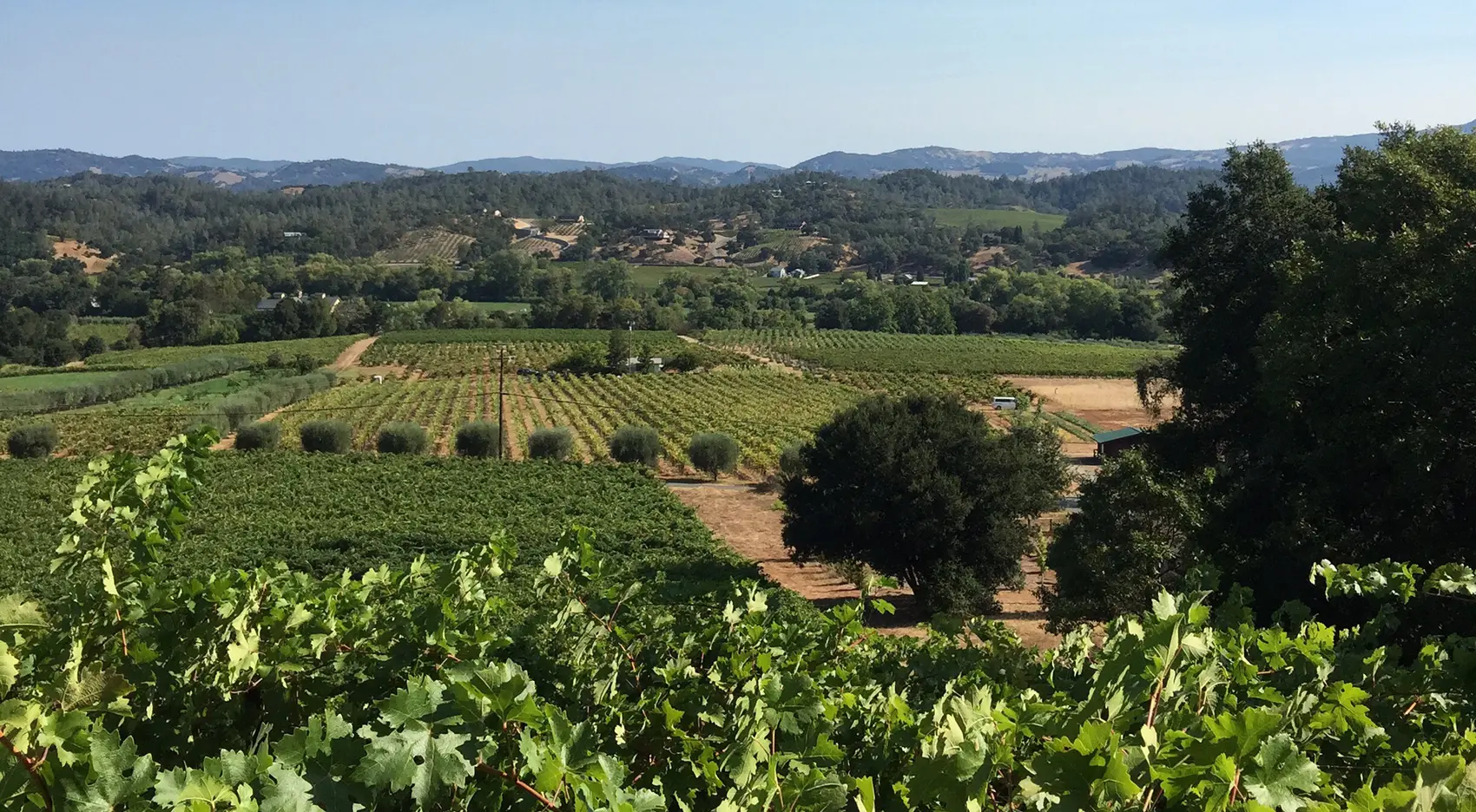 The Meeker Vineyard Tasting Room in Healdsburg, CA — photo 1