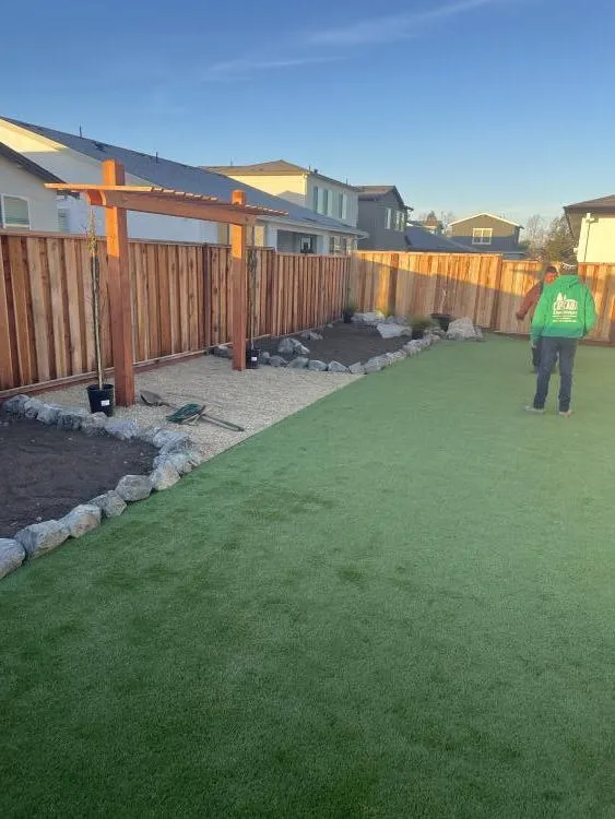 Cedar fence, pergola & turf backyard