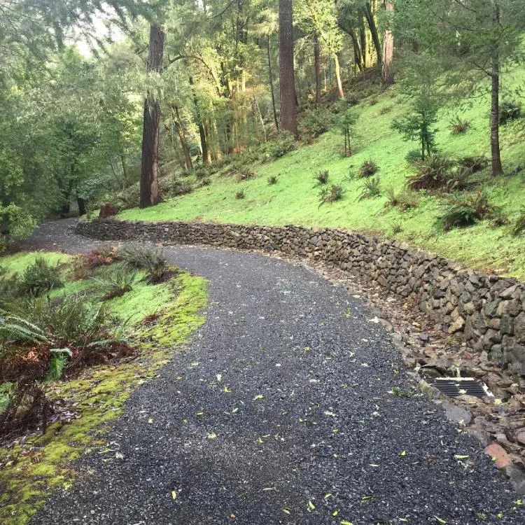 Dry-stacked stone wall along a forest drive