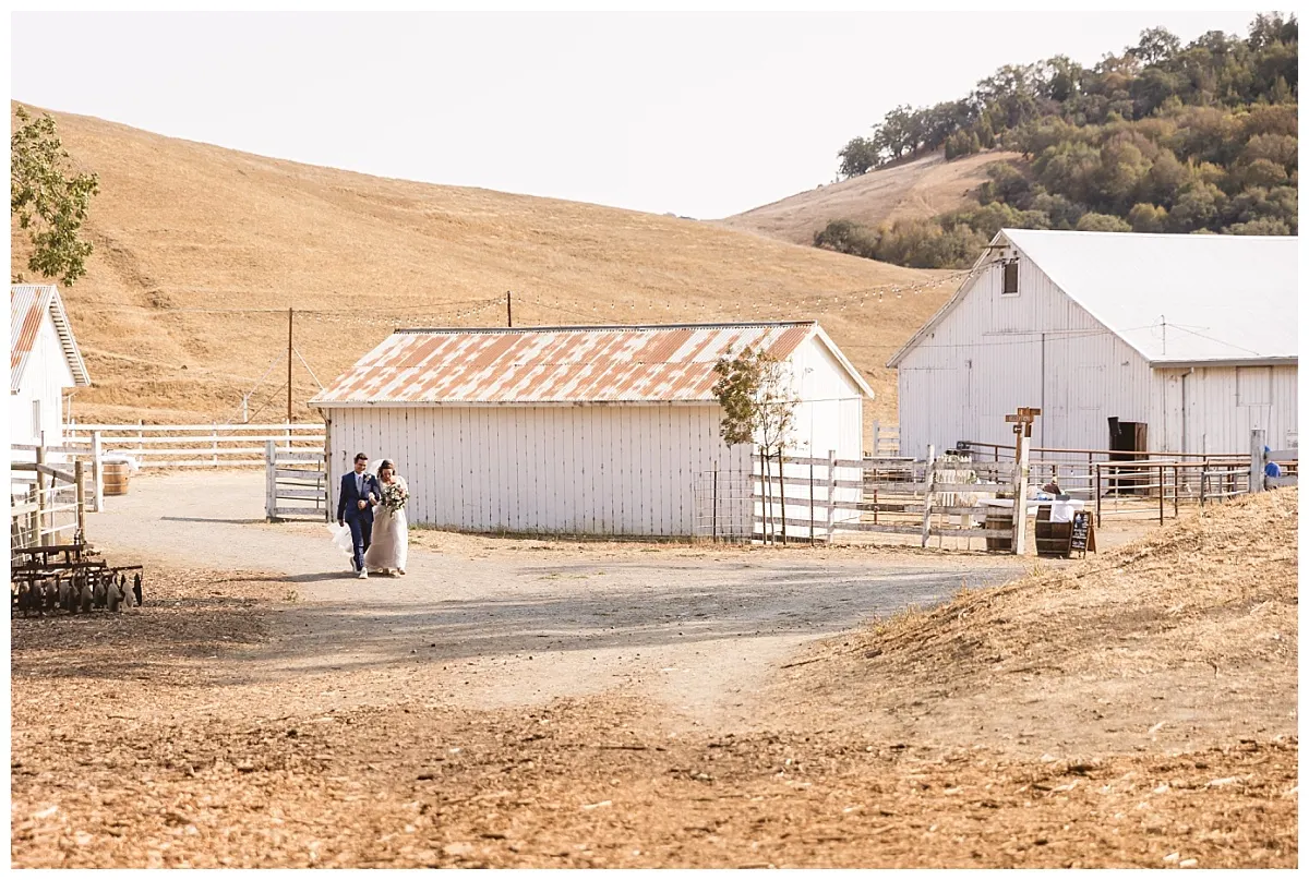 The Glenn Ranch barns nestled into the rolling golden hills of Sonoma County