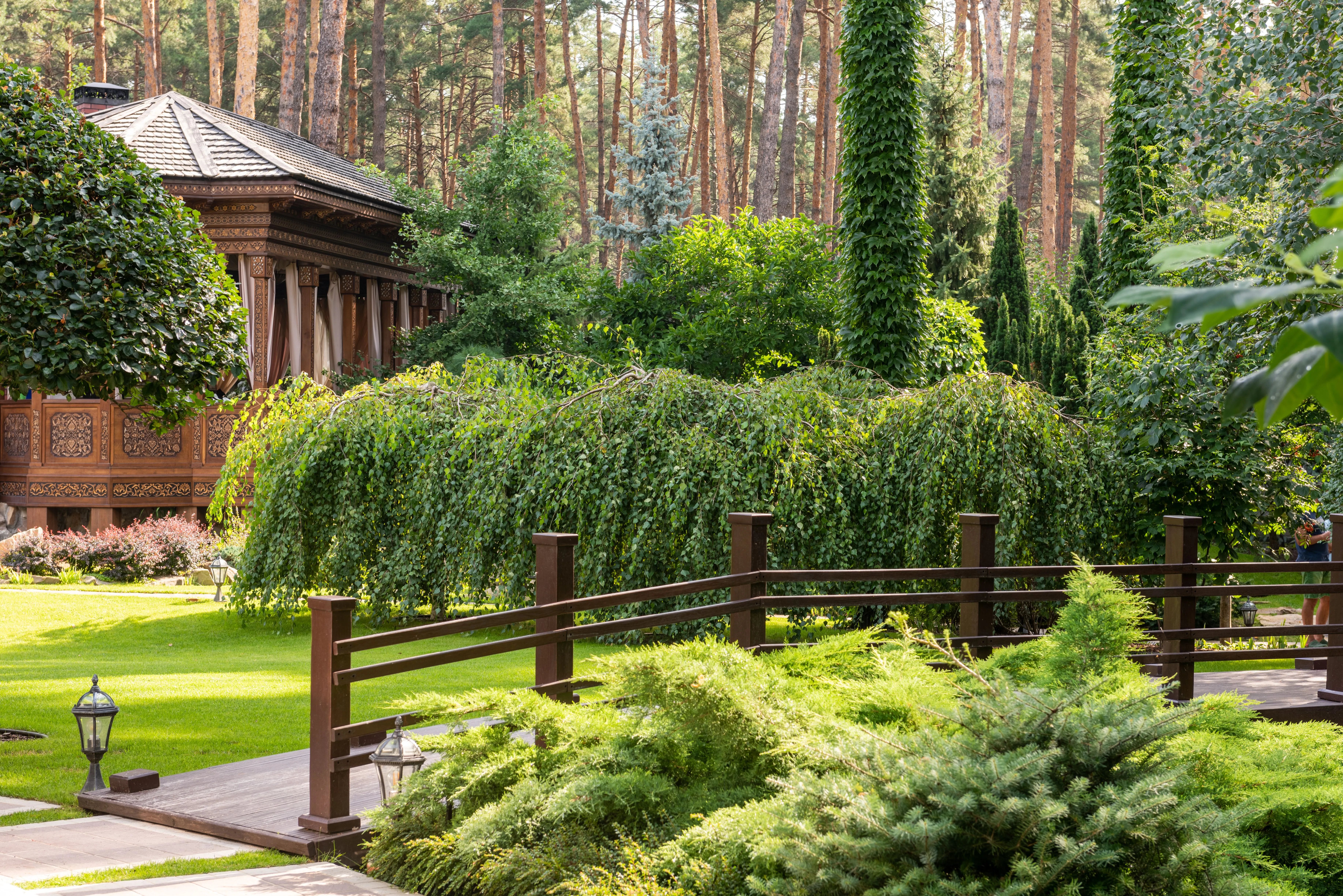 Layered green planting and a low bridge through a wooded garden